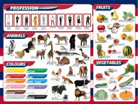 Стенд "Цвета, животные, профессии, фрукты, овощи" - fgospostavki.ru - Белово