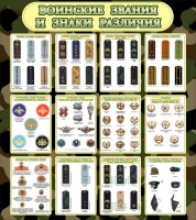 Стенд "Воинские звания и знаки различия" - fgospostavki.ru - Белово