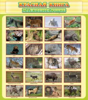 Стенд "Красная книга - млекопитающие" - fgospostavki.ru - Белово