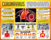 Плакат "Коронавирус" (вариант 2) - fgospostavki.ru - Белово