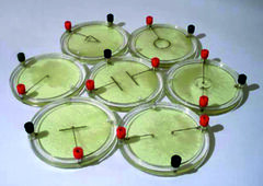 Демонстрационный комплект «Силовые линии электрического поля разных систем зарядов» - fgospostavki.ru - Белово