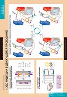 Комплект таблиц. Физика. Электромагнетизм. - fgospostavki.ru - Белово