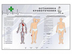 Электрифицированный стенд "Остановка кровотечения" - fgospostavki.ru - Белово