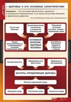 Комплект таблиц. ОБЖ. Здоровый образ жизни. - fgospostavki.ru - Белово
