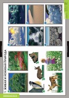 Комплект таблиц. Окружающий мир. Летние и осенние изменения в природе. - fgospostavki.ru - Белово