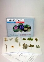 Гербарий "Морфология растений" (5 тем х 3 листа) - fgospostavki.ru - Белово