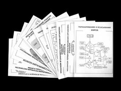 Комплект таблиц для 9-11 классов "Валеология и органическая химия" Комплект 2 - fgospostavki.ru - Белово