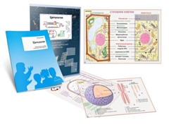 Комплект кодотранспарантов "Цитология" - fgospostavki.ru - Белово