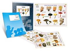 Комплект кодотранспарантов "Грибы" - fgospostavki.ru - Белово