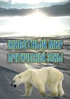 DVD "Животный мир Арктической зоны" - fgospostavki.ru - Белово