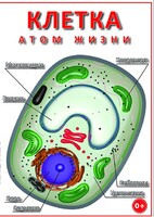DVD "Клетка - "атом жизни" - fgospostavki.ru - Белово