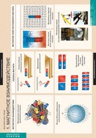 Комплект таблиц. Физика. Магнитное поле. - fgospostavki.ru - Белово