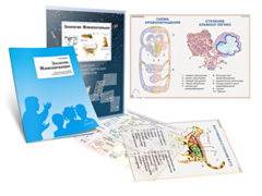 Комплект кодотранспарантов "Зоология. Млекопитающие" - fgospostavki.ru - Белово