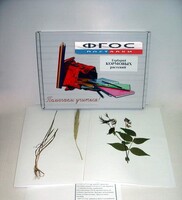 Гербарий "Кормовые растения" (20 видов) - fgospostavki.ru - Белово