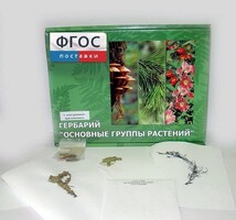 Гербарий "Основные группы растений" (52 листа) - fgospostavki.ru - Белово