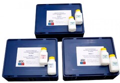 Набор реактивов для проведения ученического эксперимента по химии - fgospostavki.ru - Белово