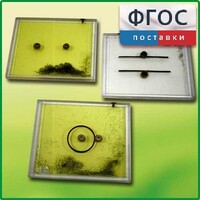 Набор для демонстрации электрических полей - fgospostavki.ru - Белово