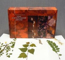 Гербарий для Начальной школы (28 видов) - fgospostavki.ru - Белово