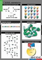 Комплект таблиц. Биология. Химия клетки. - fgospostavki.ru - Белово