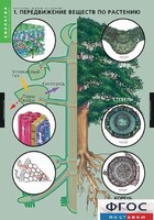Комплект таблиц. Биология. Растение – живой организм. - fgospostavki.ru - Белово