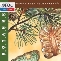 Ботаника. Микрофотографии. (Цифровая база изображений) - fgospostavki.ru - Белово