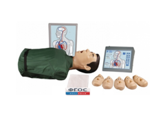 "Максим III" тренажер сердечно-легочной и мозговой реанимации - fgospostavki.ru - Белово