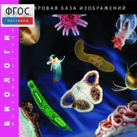 Биология. Микрофотографии. (Цифровая база изображений) - fgospostavki.ru - Белово