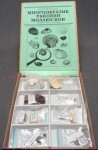Коллекция "Многообразие раковин моллюсков" - fgospostavki.ru - Белово