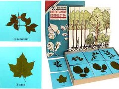 Гербарий "Растительные сообщества" - fgospostavki.ru - Белово