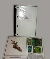 Гербарий "Эволюция высших растений" (ламинированный) - fgospostavki.ru - Белово