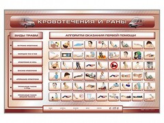 Трехсекционный базовый комплект "Травмы. Кровотечения. Ожоги" для учащихся общеобразовательных учреждений - fgospostavki.ru - Белово