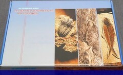 Коллекция "Палеонтологическая" (16 образцов) - fgospostavki.ru - Белово