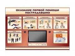 Многофункциональный интерактивный стенд-тренажер "Оказание первой помощи пострадавшим" для учащихся общеобразовательных учреждений - fgospostavki.ru - Белово