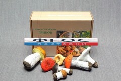 Набор муляжей грибов - fgospostavki.ru - Белово