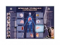 Электрифицированный стенд "Вредные привычки: наркомания" - fgospostavki.ru - Белово