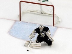 Гашение (отбойники) для хоккейных ворот - fgospostavki.ru - Белово