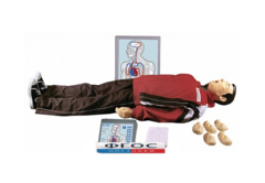 "Максим III-01" тренажер сердечно-легочной и мозговой реанимации - fgospostavki.ru - Белово