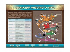 Интерактивный электрифицированный стенд "Эволюция животного мира" - fgospostavki.ru - Белово