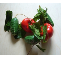 Ветка муляжей "Ассорти" (овощи) - fgospostavki.ru - Белово