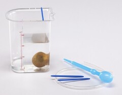 Сосуд Архимеда - fgospostavki.ru - Белово