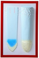 Барельефная модель "Клеточное строение корня" - fgospostavki.ru - Белово