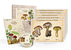 Комбинированное наглядное пособие  «Грибы» - fgospostavki.ru - Белово