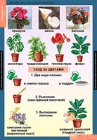 Комплект таблиц. Окружающий мир 1 класс. - fgospostavki.ru - Белово