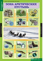 Комплект таблиц. Окружающий мир 4 класс. - fgospostavki.ru - Белово