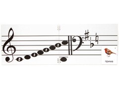 Настольное мягкое магнитно-маркерное поле с нотным станом - fgospostavki.ru - Белово