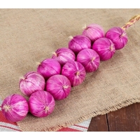 Муляжи "Связка лука" - fgospostavki.ru - Белово