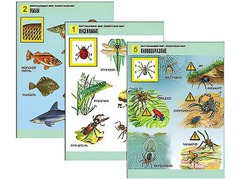 Комплект таблиц "Окружающий мир. Животный мир" (8 таблиц, А1, ламинированные) - fgospostavki.ru - Белово