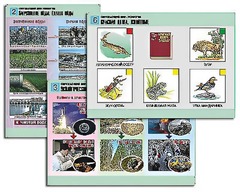 Комплект таблиц "Окружающий мир. Экология" (6 таблиц, А1, ламинированные) - fgospostavki.ru - Белово