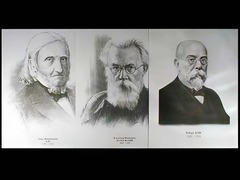 Портреты биологов (26 штук, формат А3) - fgospostavki.ru - Белово