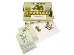 Гербарий "Для начальной школы" (30 видов, с иллюстрациями) - fgospostavki.ru - Белово
